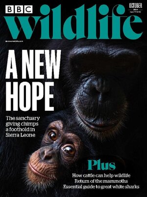 cover image of BBC Wildlife Magazine